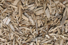 biomass boilers Plantationfoot